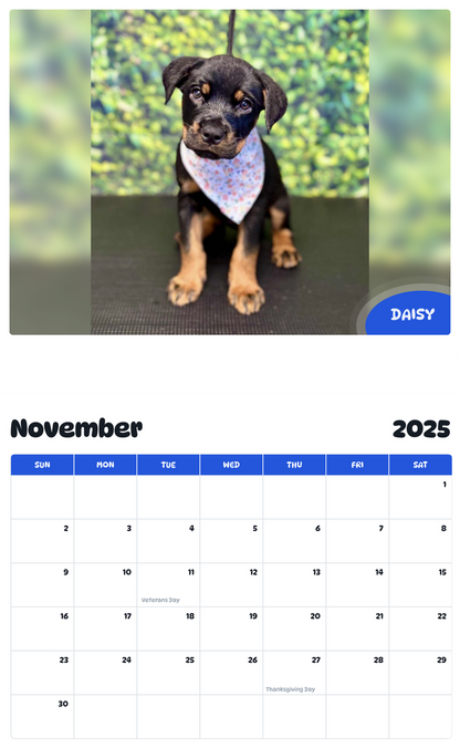July 2025 - June 2026 Daisy - Pawidols Pet Calendar