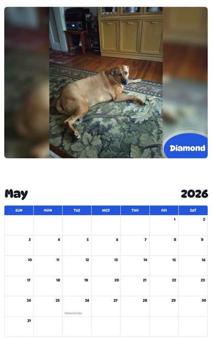2026 - 2027 Diamond - Pawidols Pet Calendar