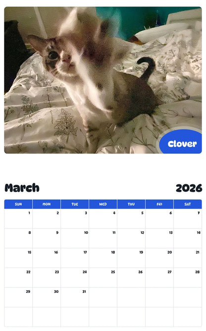 November 2025 - October 2026 Clover - Pawidols Pet Calendar