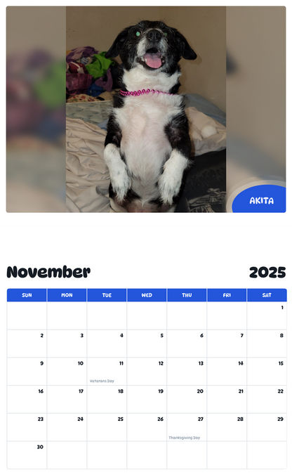 July 2025 - June 2026 Akita - Pawidols Pet Calendar