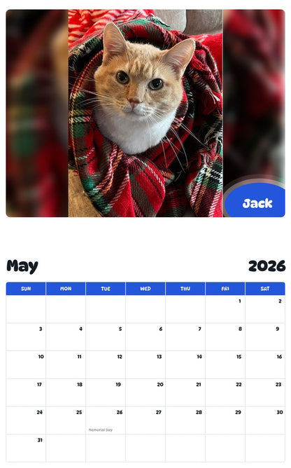 2026 - 2027 Jack - Pawidols Pet Calendar
