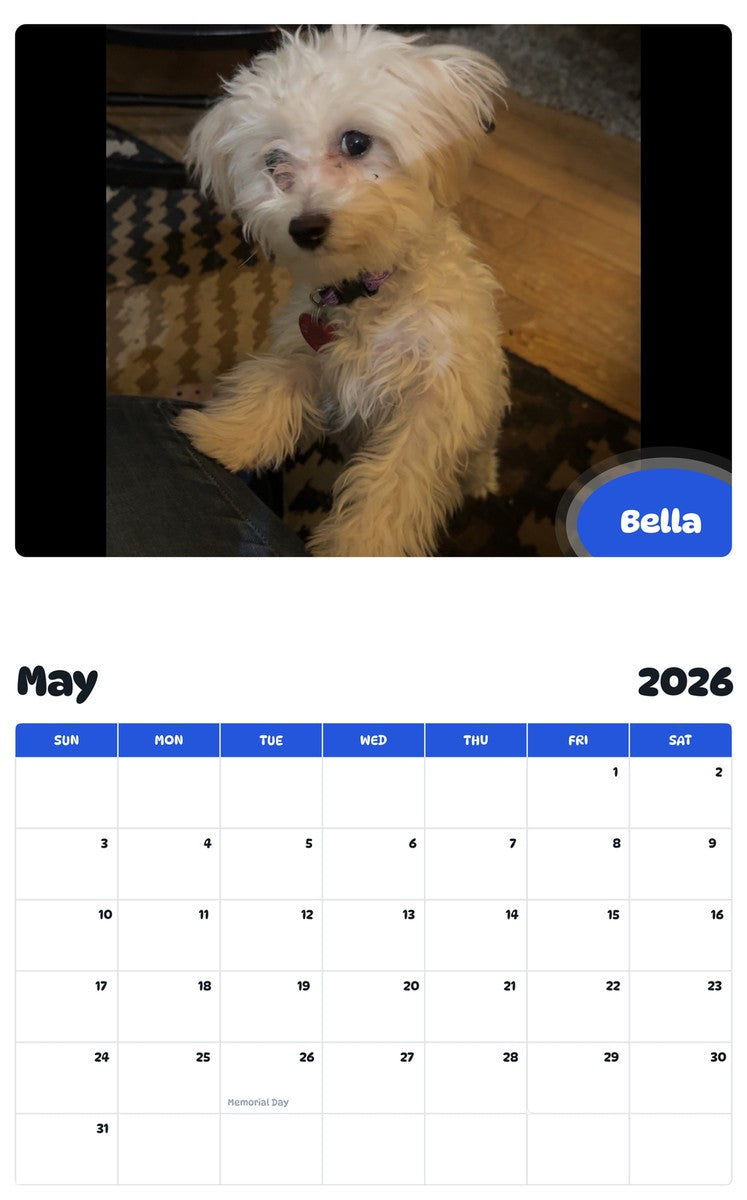 2026 - 2027 Bella - Pawidols Pet Calendar
