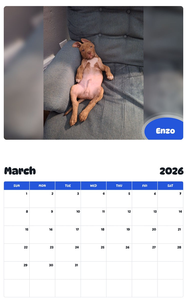 November 2025 - October 2026 Enzo - Pawidols Pet Calendar