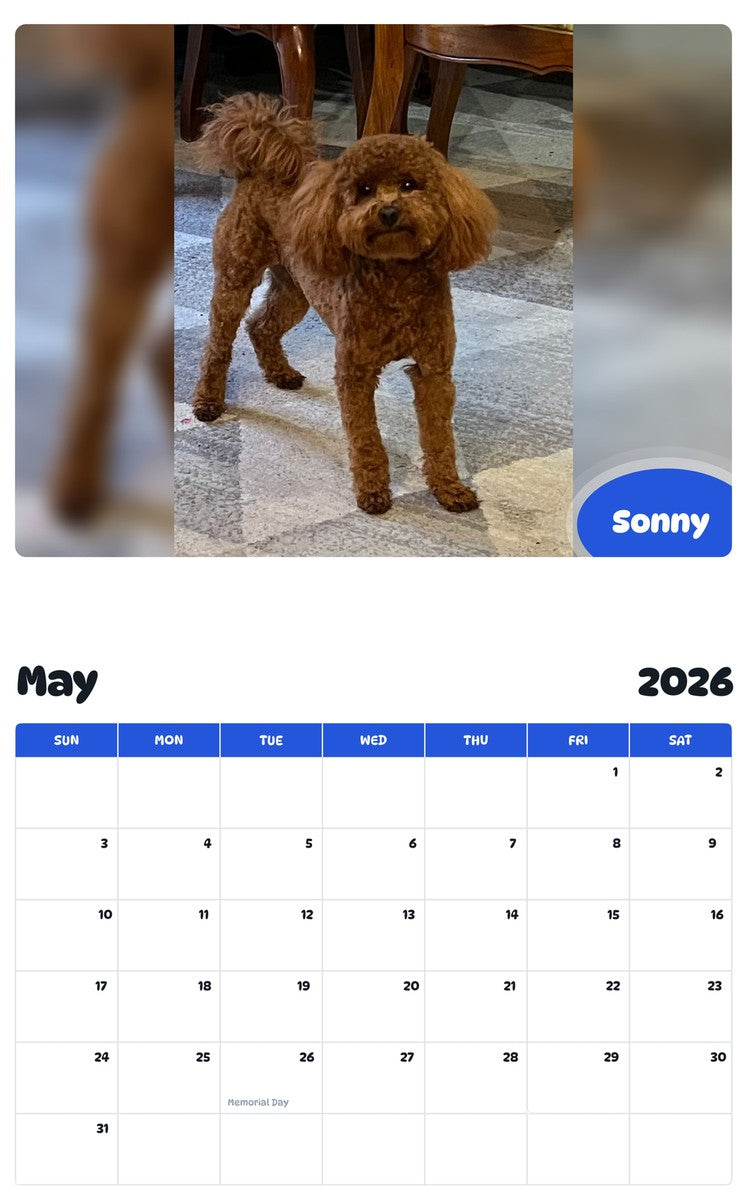 2026 - 2027 Sonny - Pawidols Pet Calendar