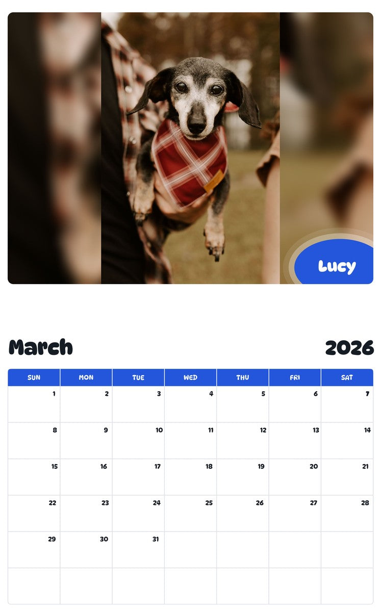 November 2025 - October 2026 Lucy - Pawidols Pet Calendar