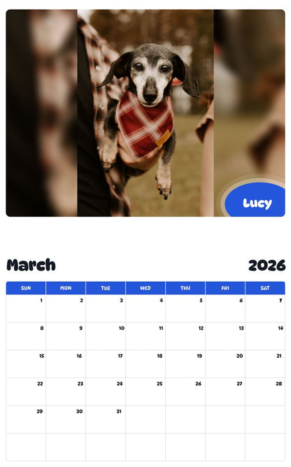 November 2025 - October 2026 Lucy - Pawidols Pet Calendar