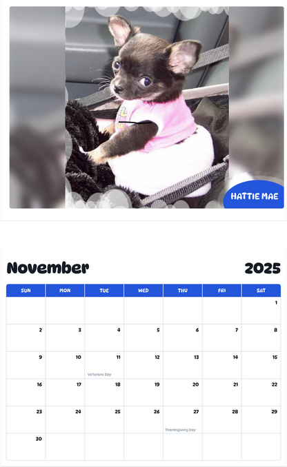 July 2025 - June 2026 Hattie Mae - Pawidols Pet Calendar