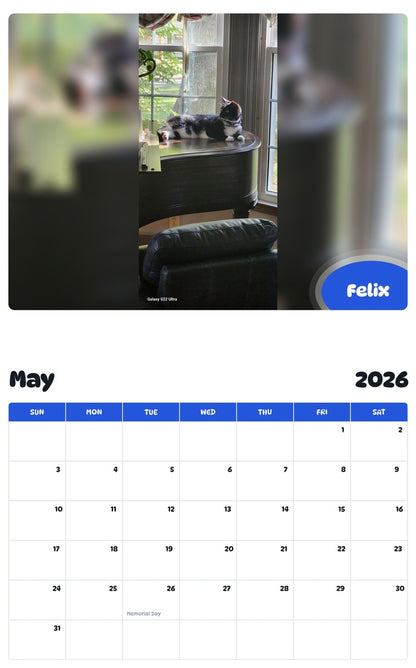 2026 - 2027 Felix - Pawidols Pet Calendar
