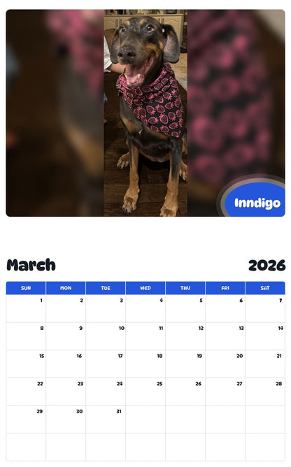 November 2025 - October 2026 Inndigo - Pawidols Pet Calendar