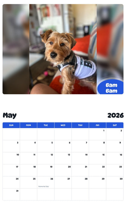 2026 - 2027 Bam Bam - Pawidols Pet Calendar