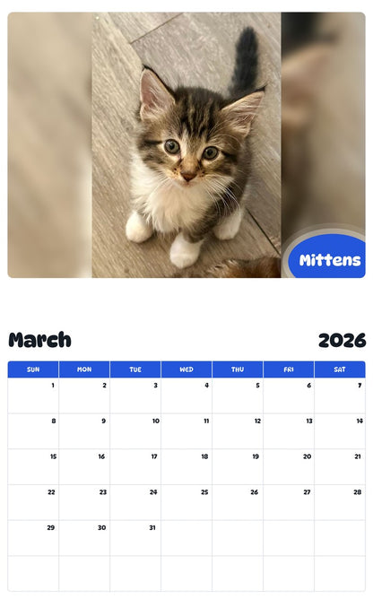November 2025 - October 2026 Mittens - Pawidols Pet Calendar