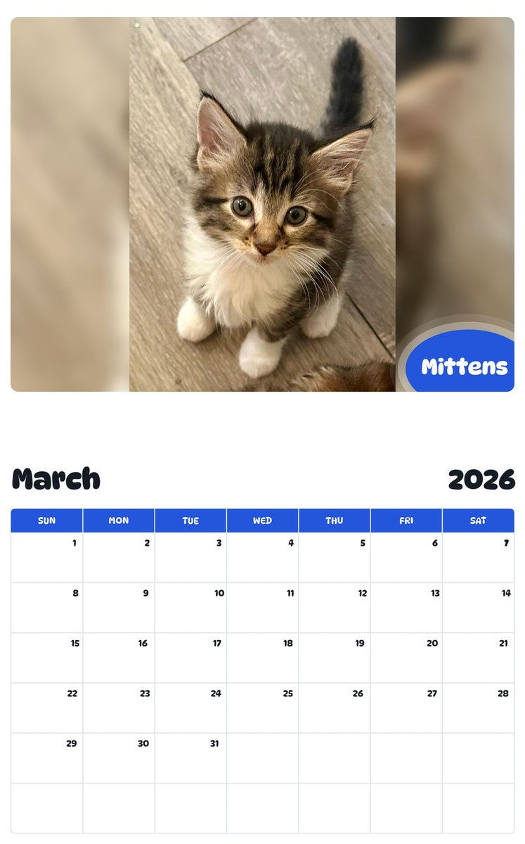 November 2025 - October 2026 Mittens - Pawidols Pet Calendar