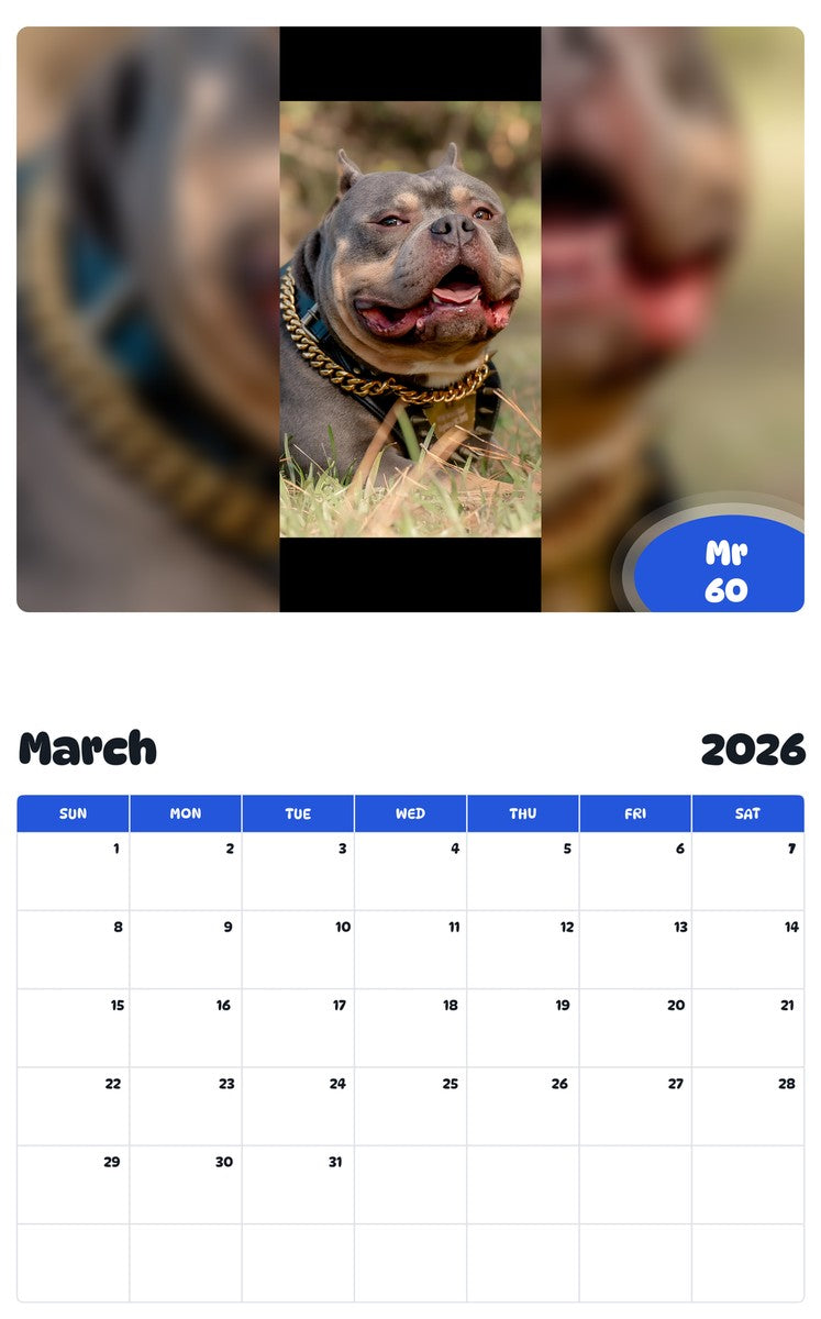 November 2025 - October 2026 Mr 60 - Pawidols Pet Calendar