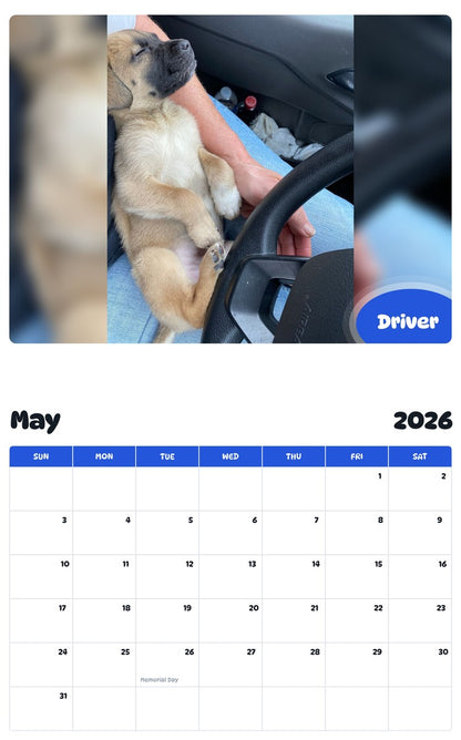 2026 - 2027 Driver - Pawidols Pet Calendar