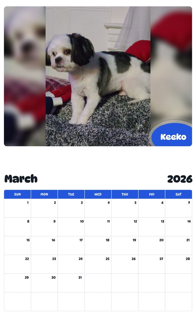 November 2025 - October 2026 Keeko - Pawidols Pet Calendar