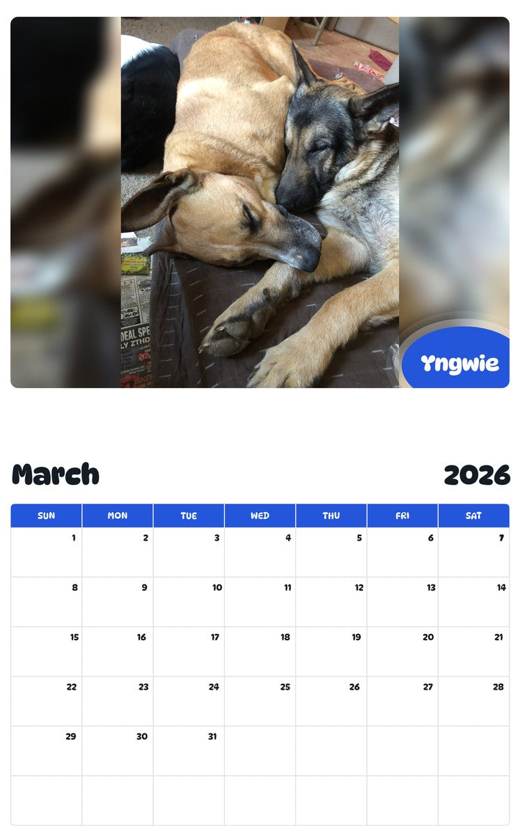 November 2025 - October 2026 Yngwie - Pawidols Pet Calendar