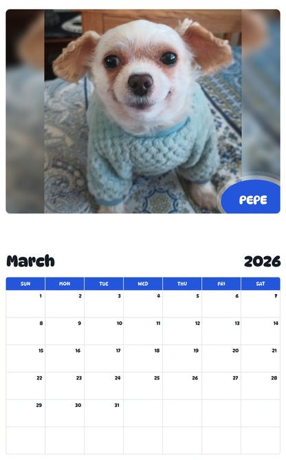 November 2025 - October 2026 PEPE - Pawidols Pet Calendar