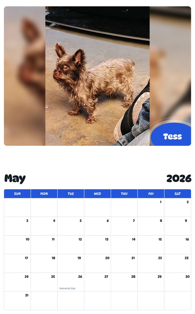 2026 - 2027 Tess - Pawidols Pet Calendar