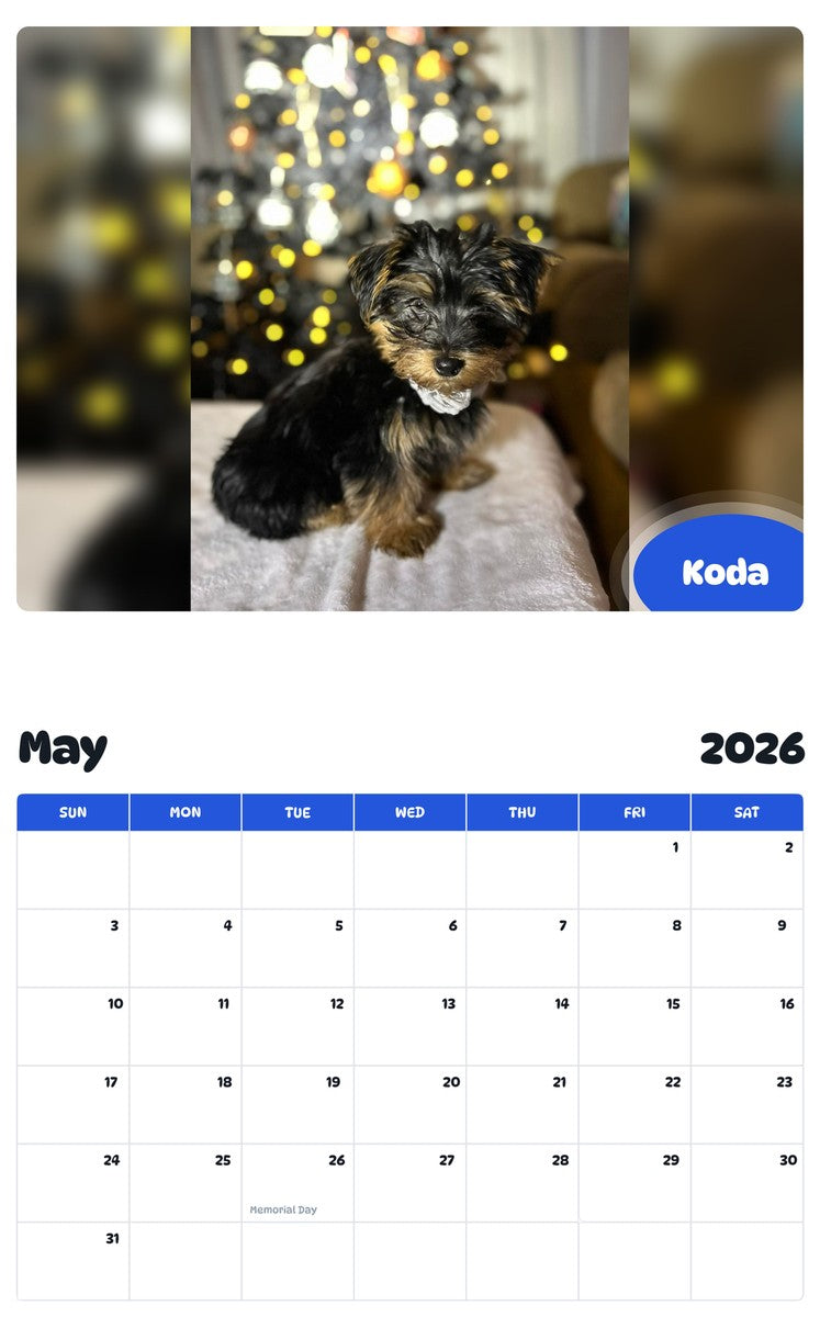 2026 - 2027 Koda - Pawidols Pet Calendar