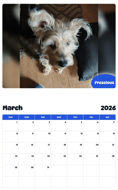 November 2025 - October 2026 Prescious - Pawidols Pet Calendar