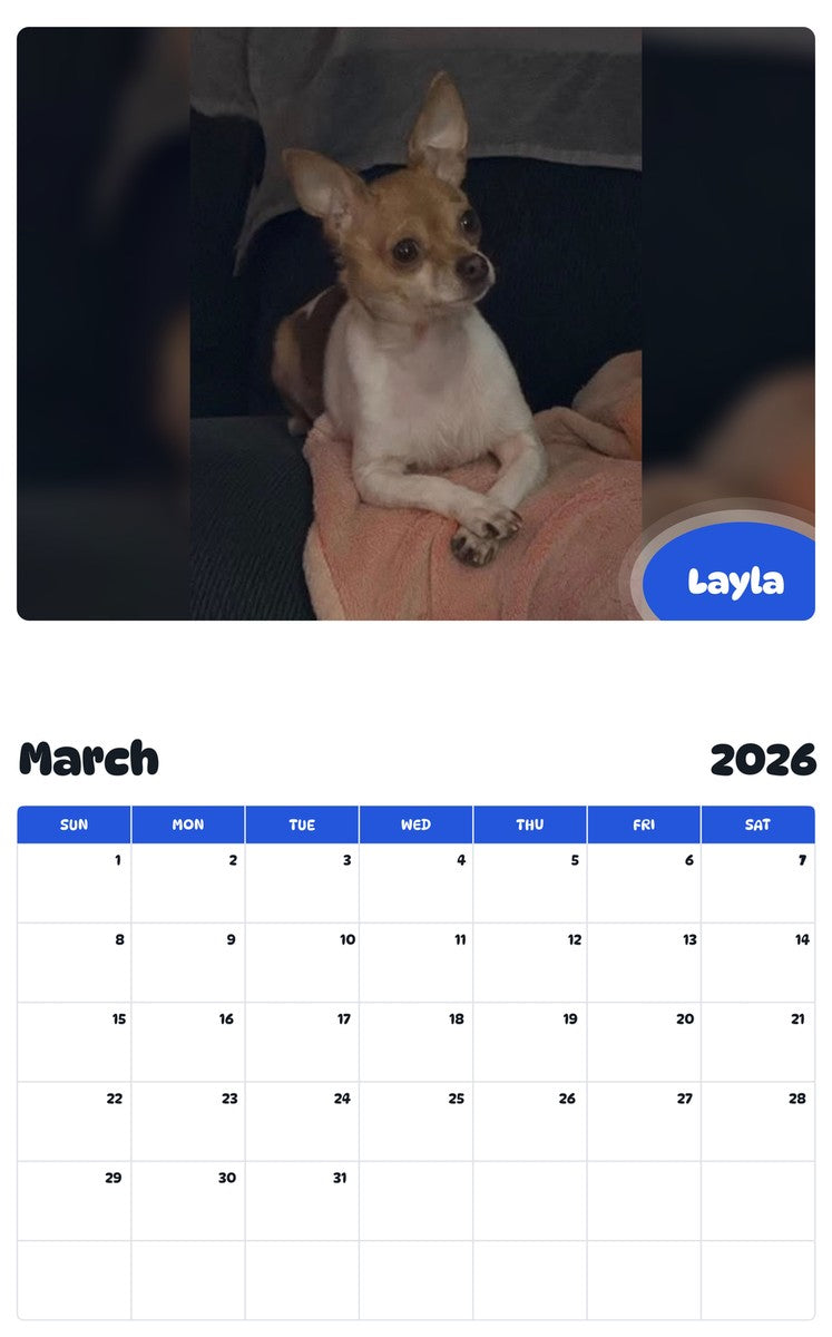 November 2025 - October 2026 Layla - Pawidols Pet Calendar