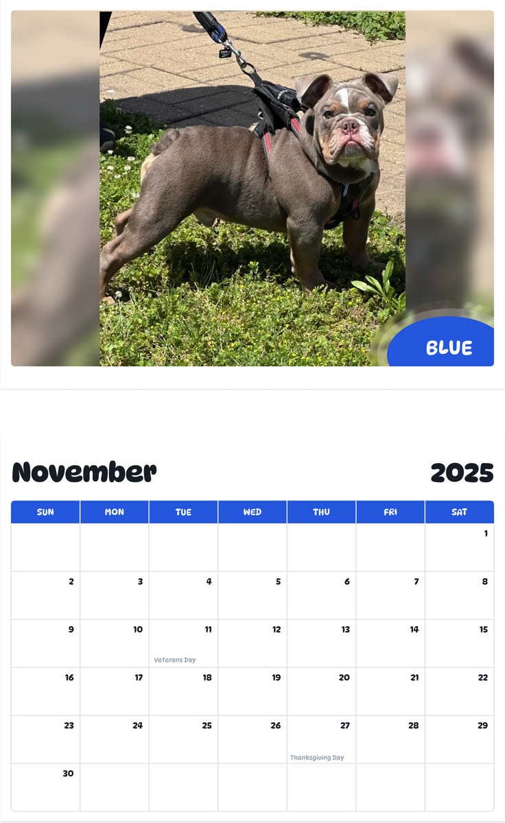 July 2025 - June 2026 Blue - Pawidols Pet Calendar