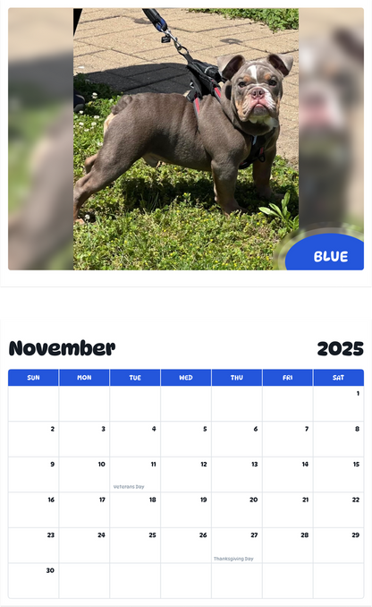 July 2025 - June 2026 Blue - Pawidols Pet Calendar