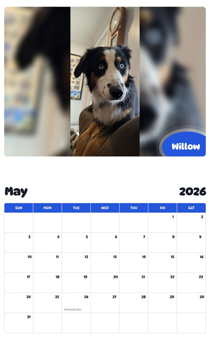 2026 - 2027 Willow - Pawidols Pet Calendar