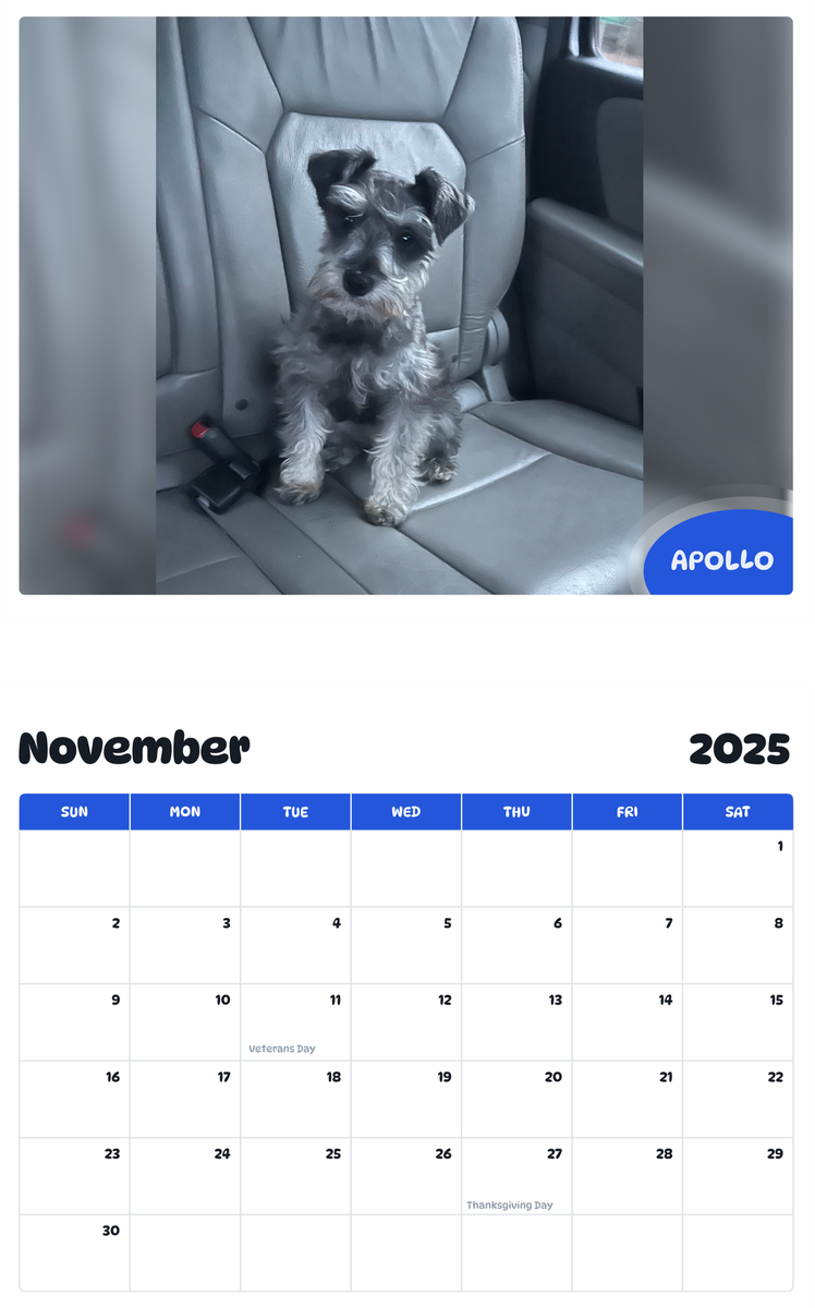 July 2025 - June 2026 Apollo - Pawidols Pet Calendar