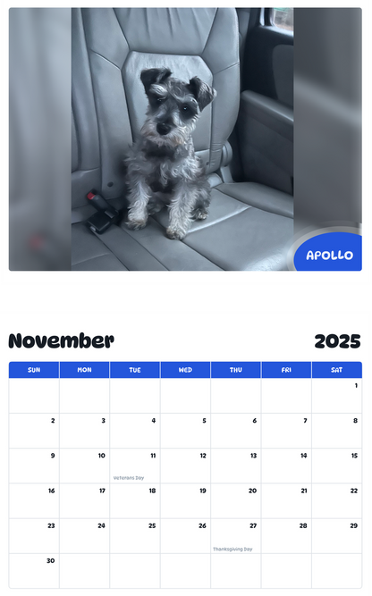 July 2025 - June 2026 Apollo - Pawidols Pet Calendar