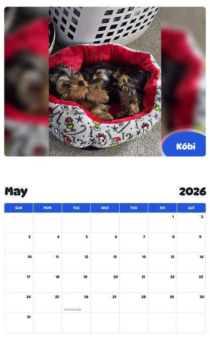 2026 - 2027 Kóbi - Pawidols Pet Calendar