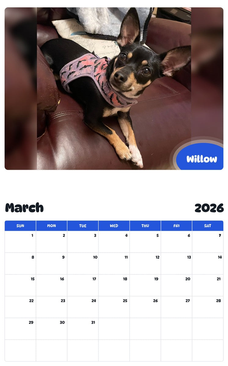 November 2025 - October 2026 Willow - Pawidols Pet Calendar