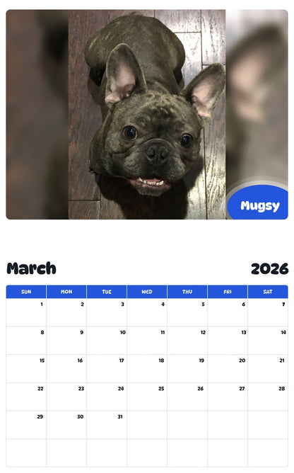 November 2025 - October 2026 Mugsy - Pawidols Pet Calendar