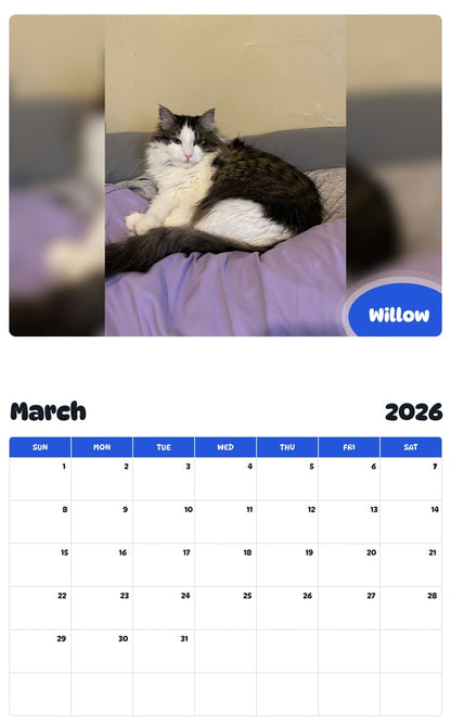 November 2025 - October 2026 Willow - Pawidols Pet Calendar