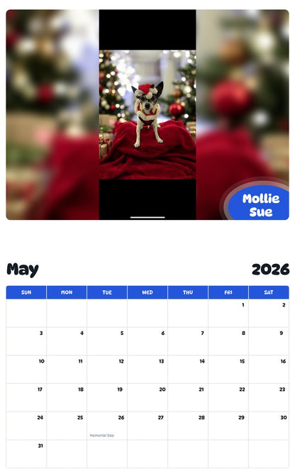 2026 - 2027 Mollie Sue - Pawidols Pet Calendar