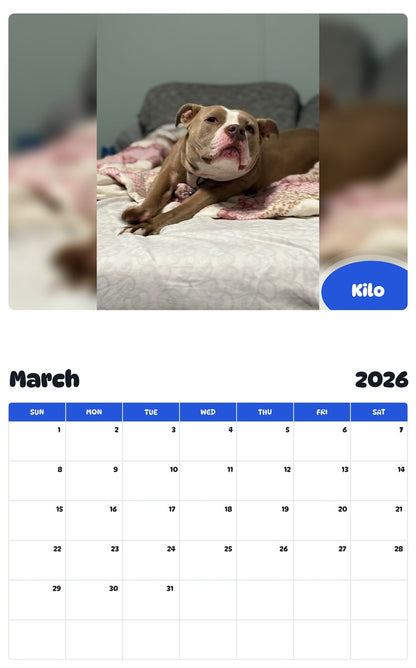 November 2025 - October 2026 Kilo - Pawidols Pet Calendar