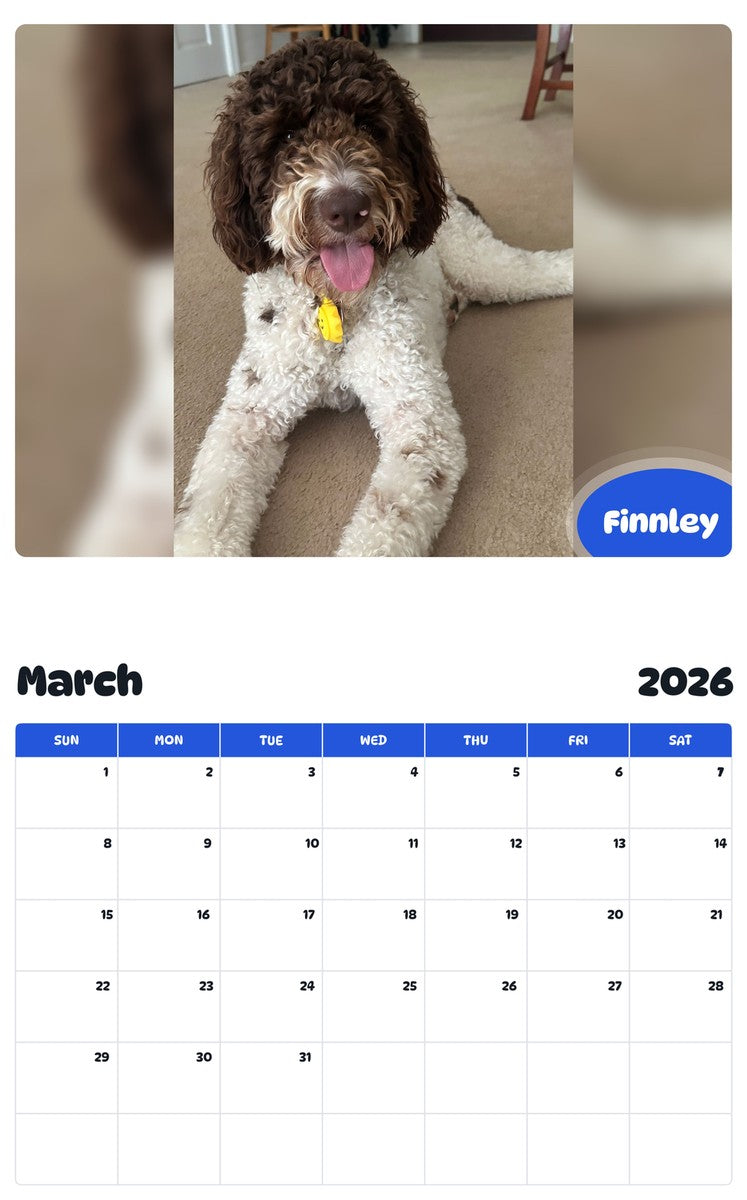 November 2025 - October 2026 Finnley - Pawidols Pet Calendar