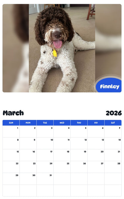 November 2025 - October 2026 Finnley - Pawidols Pet Calendar