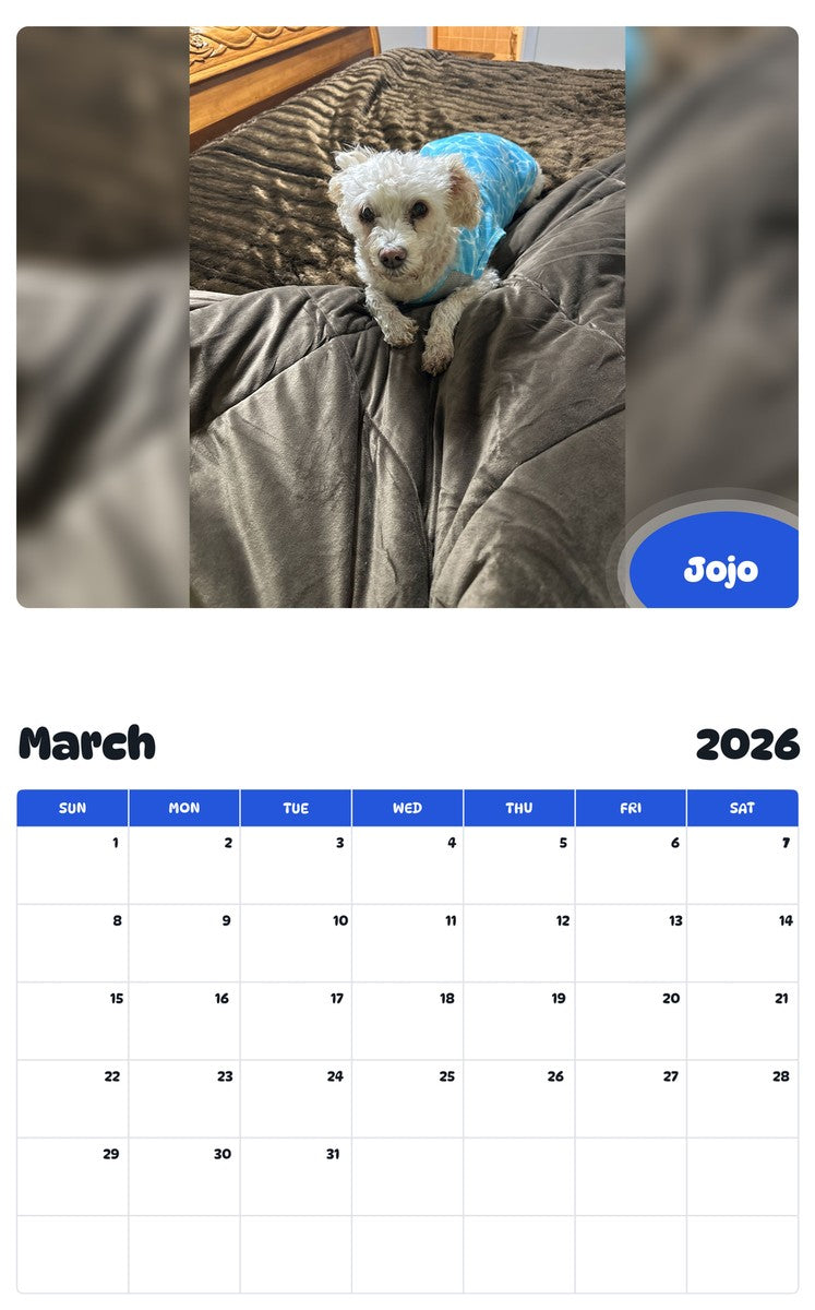 November 2025 - October 2026 Jojo - Pawidols Pet Calendar