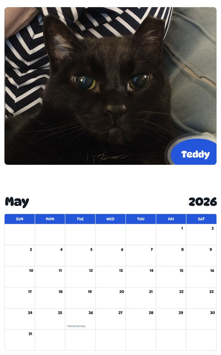 2026 - 2027 Teddy - Pawidols Pet Calendar