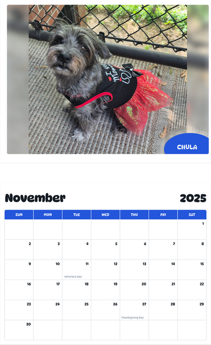 July 2025 - June 2026 Chula - Pawidols Pet Calendar