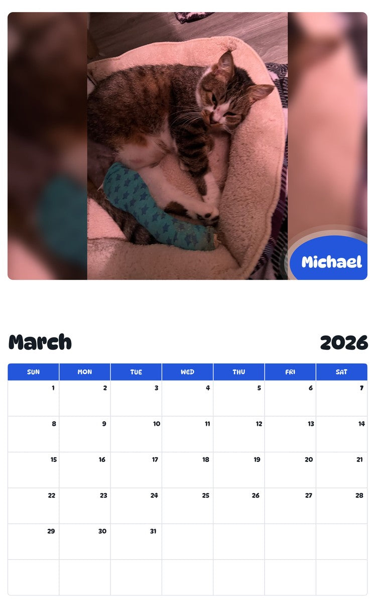 November 2025 - October 2026 Michael - Pawidols Pet Calendar