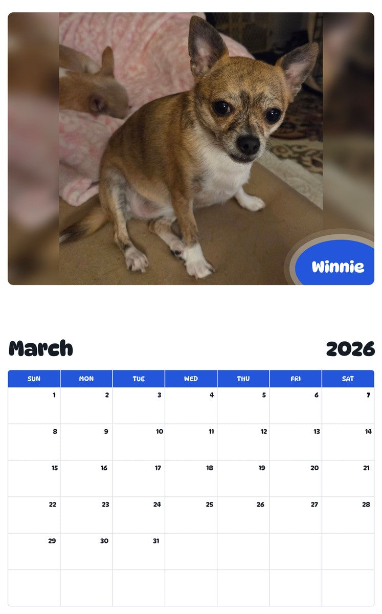 November 2025 - October 2026 Winnie - Pawidols Pet Calendar