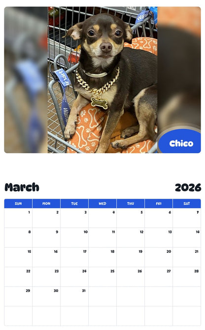 November 2025 - October 2026 Chico - Pawidols Pet Calendar