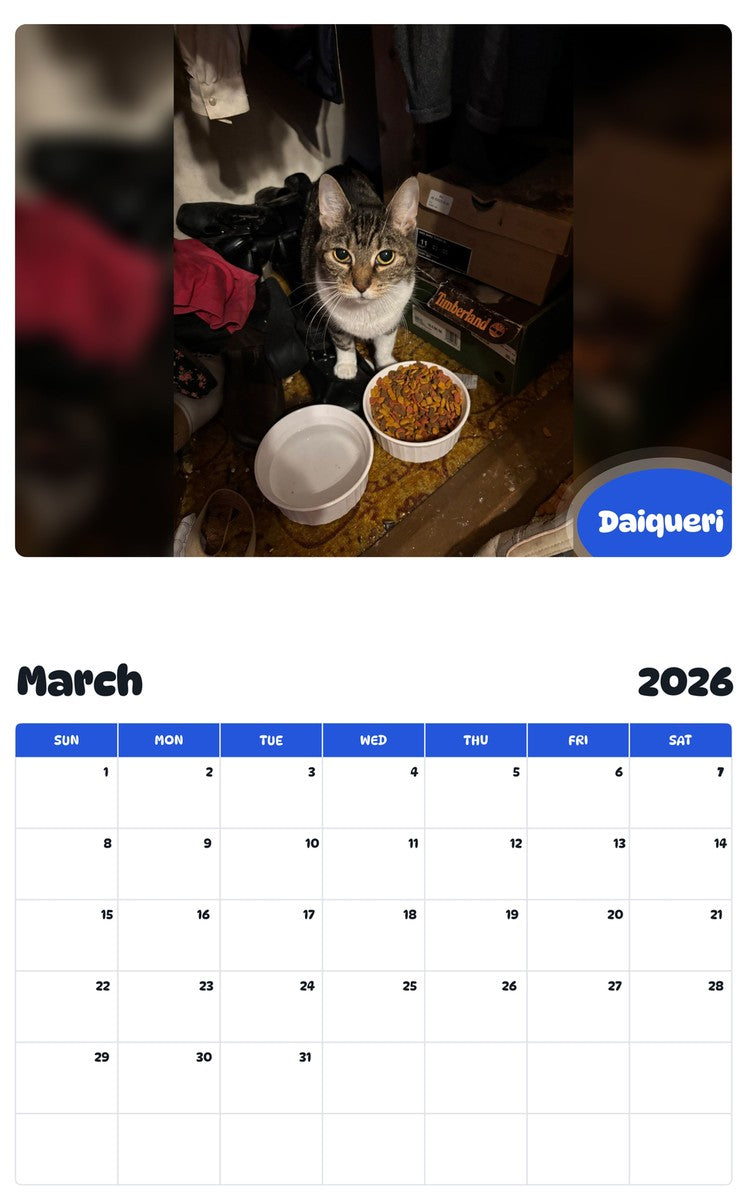 November 2025 - October 2026 Daiqueri - Pawidols Pet Calendar