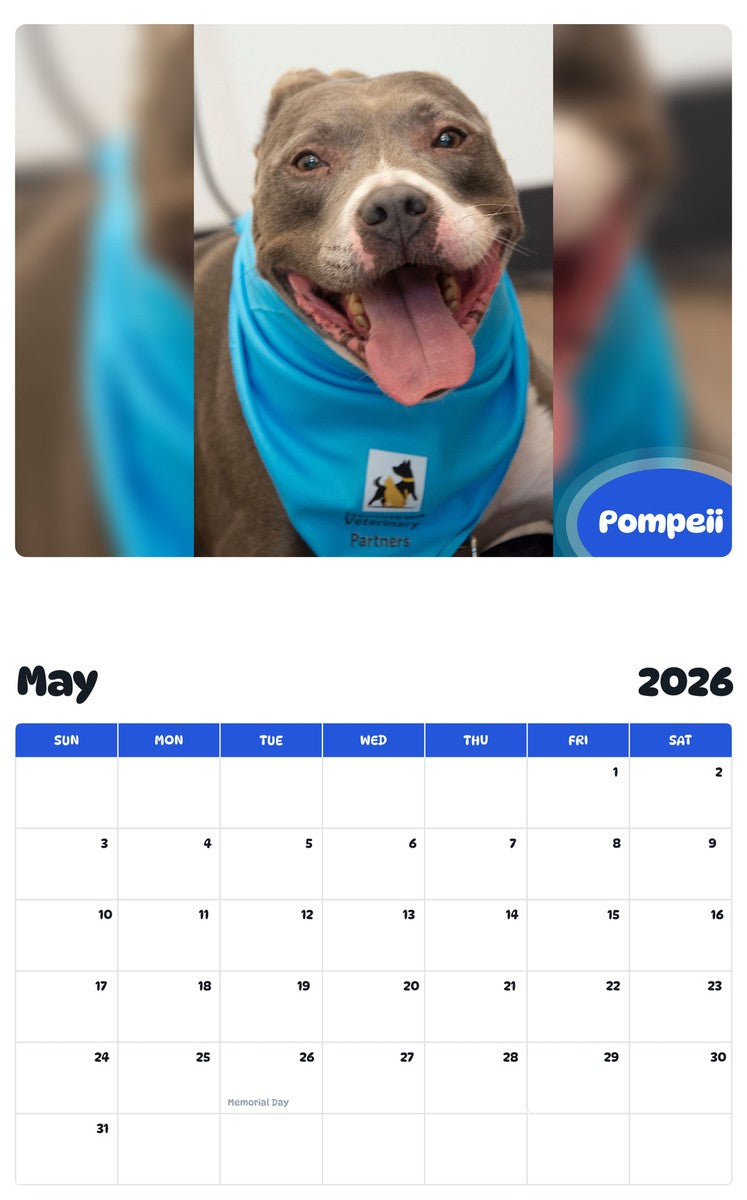 2026 - 2027 Pompeii - Pawidols Pet Calendar
