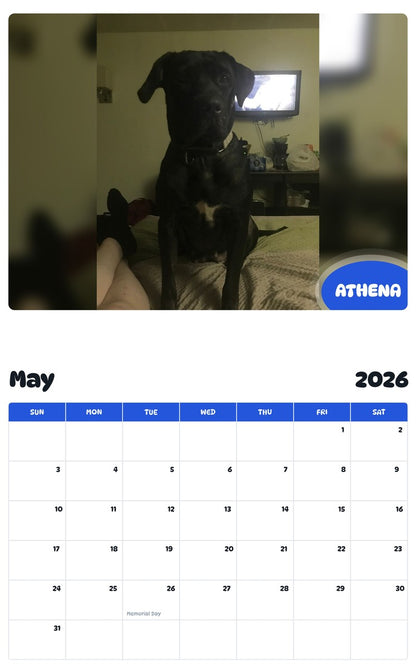 2026 - 2027 ATHENA - Pawidols Pet Calendar