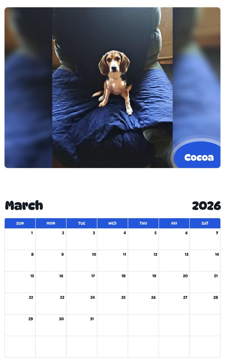 November 2025 - October 2026 Cocoa - Pawidols Pet Calendar