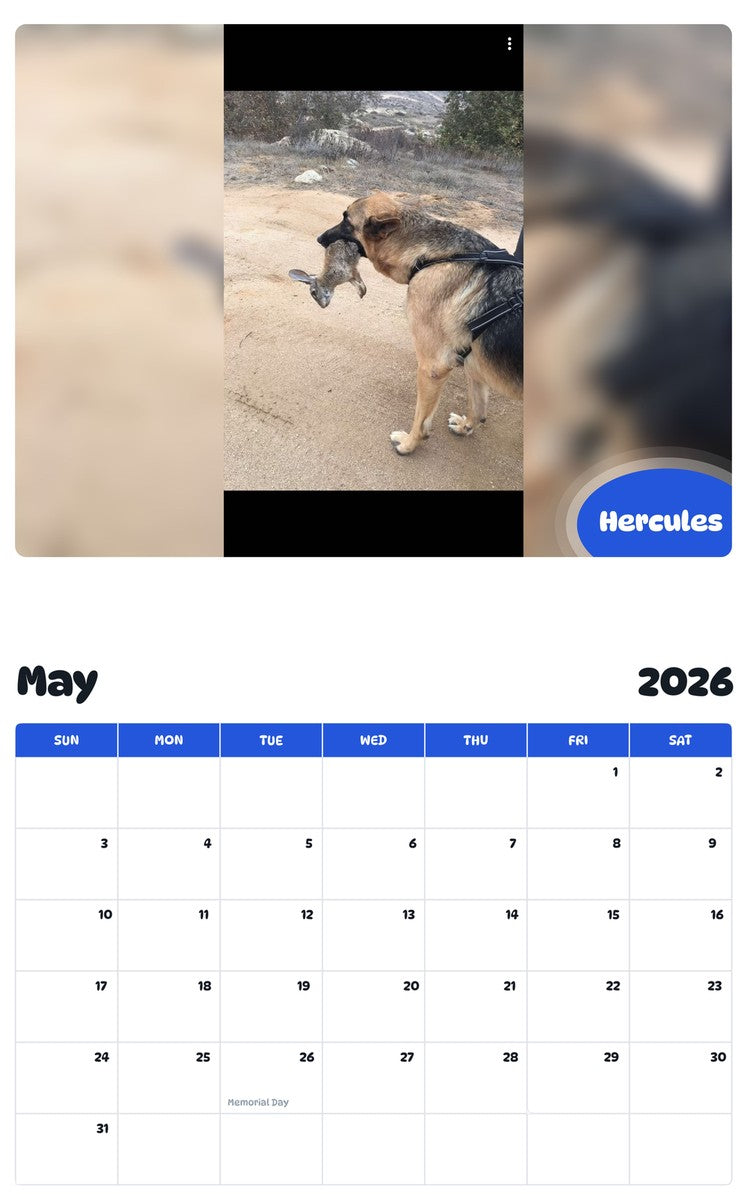 2026 - 2027 Hercules - Pawidols Pet Calendar