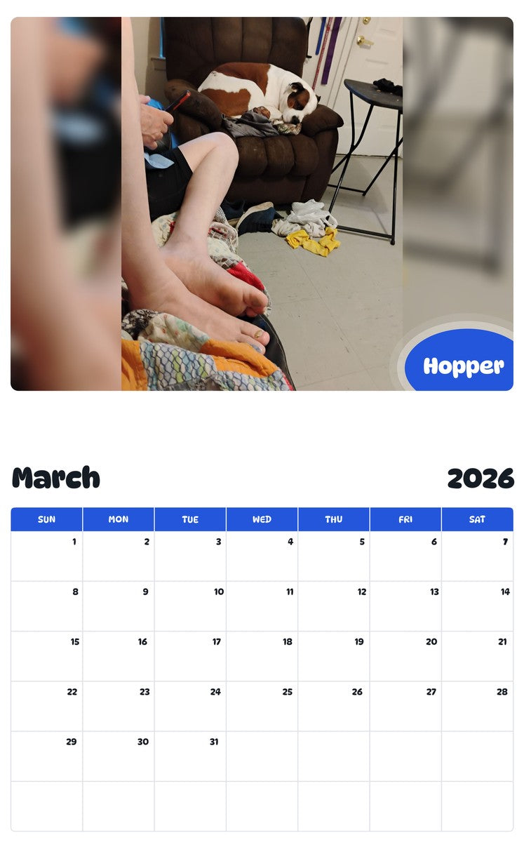 November 2025 - October 2026 Hopper - Pawidols Pet Calendar